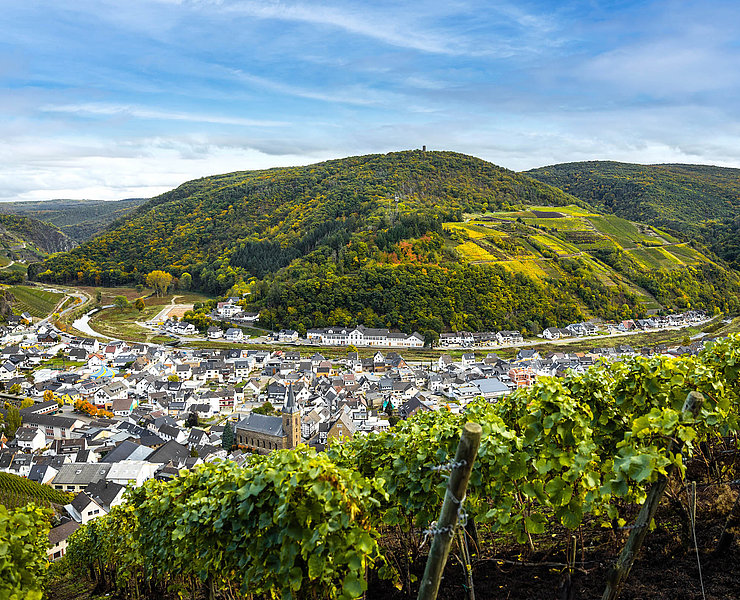 Blick auf Dernau im Herbst