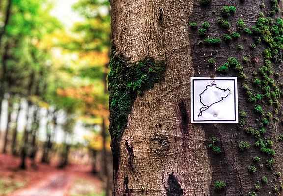 Wanderweg Auf den Spuren der grünen Hölle