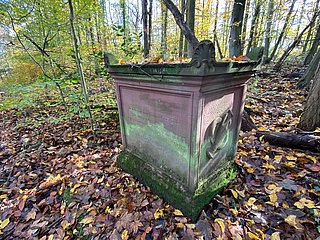 Der Goethestein im Wald oberhalb von Rolandseck.