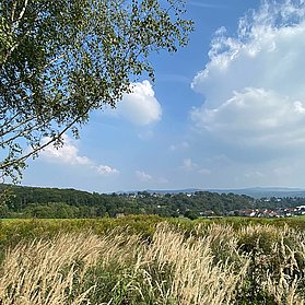 Bandorf und Siebengebirge