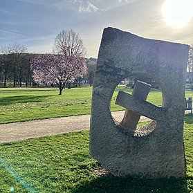 Dahliengarten im Frühjahr