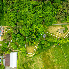 Sommer-Rodelbahn Altenahr
