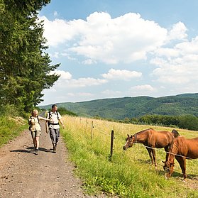 Dümeplhardt