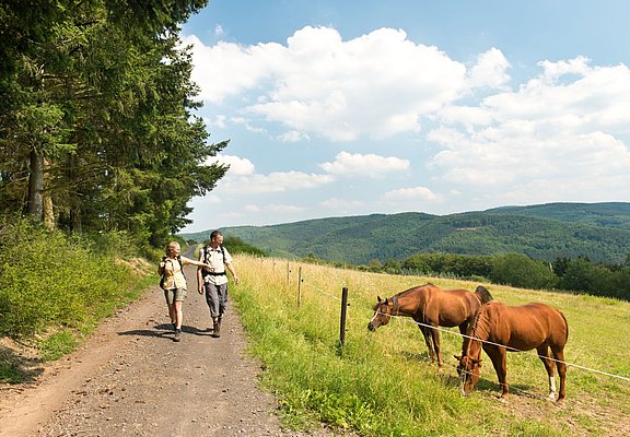 Dümeplhardt