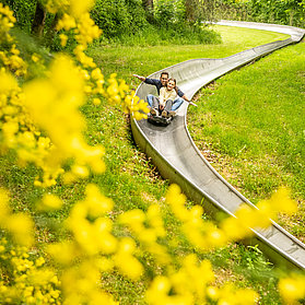 Sommer-Rodelbahn Altenahr