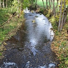 Flusslauf Ahr