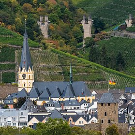 Natur & Stadt