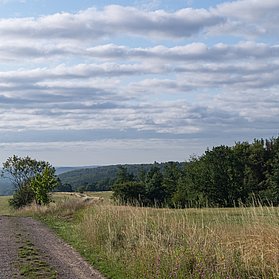 Blick über die Naturlandschaft