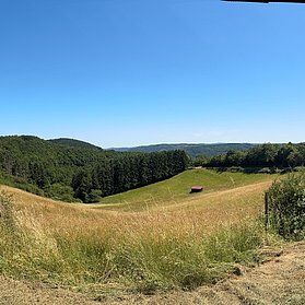 Ausblick vom Panoramaweg