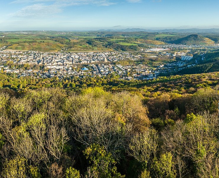 Blick über den Neuenahrer Berg
