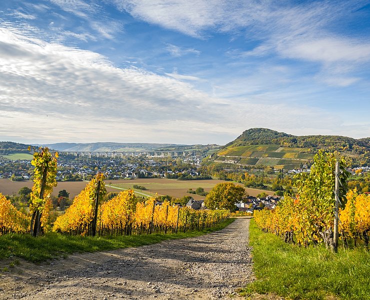 Wanderung durch schöne Feldabschnitte