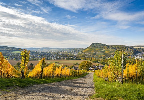 Wanderung durch schöne Feldabschnitte