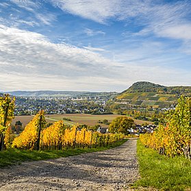 Wanderung durch schöne Feldabschnitte