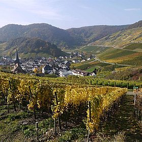 Umgebung 09