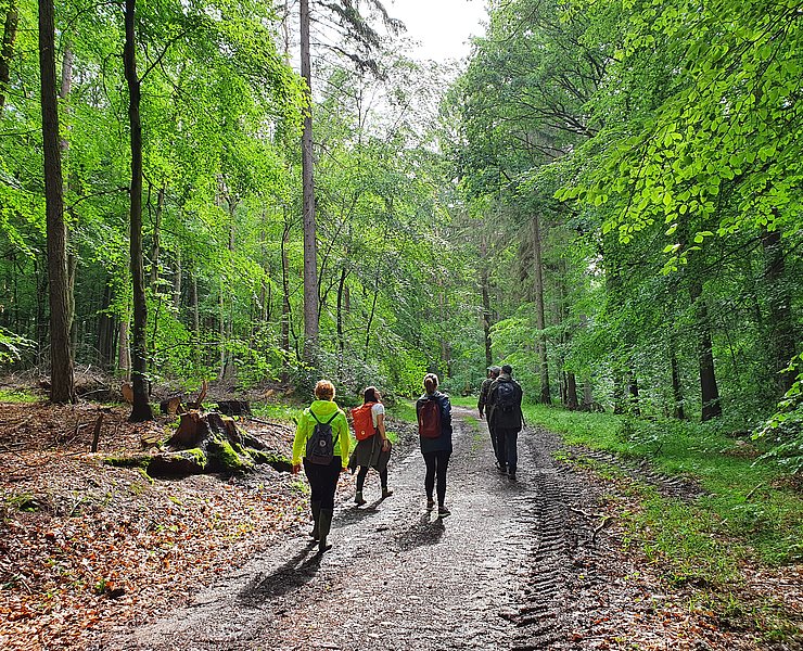 Waldbaden mit RobinWoods