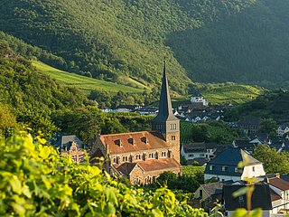 Pfarrkirche St. Nikolaus und St. Rochus in Mayschoß, umgeben von malerischen Weinbergen im Ahrtal.