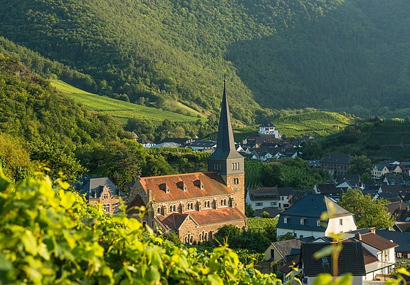 Pfarrkirche St. Nikolaus und St. Rochus in Mayschoß, umgeben von malerischen Weinbergen im Ahrtal.
