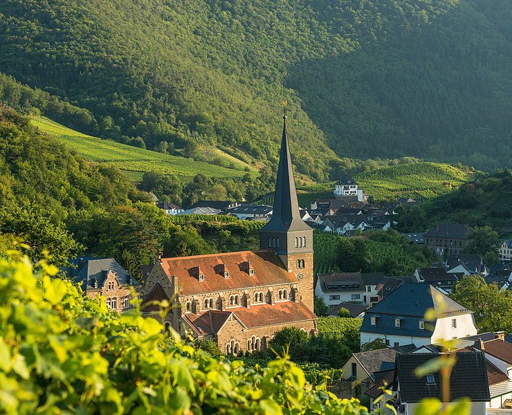 Pfarrkirche St. Nikolaus und St. Rochus in Mayschoß, umgeben von malerischen Weinbergen im Ahrtal.
