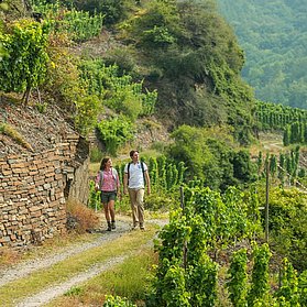 Rotweinwanderweg